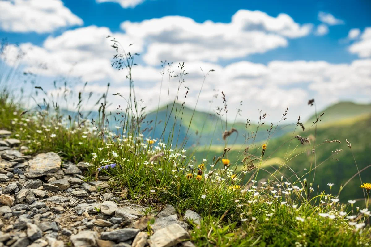 What to Do in Szczyrk in Spring?